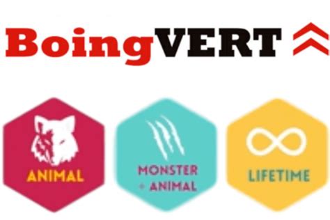 boing vert review